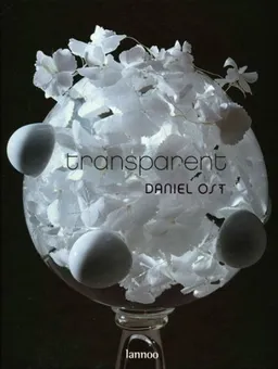 עטיפת הספר Transparent: Daniel Ost: Dani%l Ost מאת Daniel Ost
