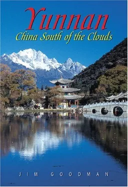 Yunnan: China South of the Clouds (Odyssey Guides)