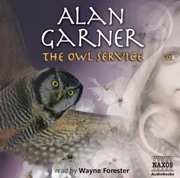 The Owl Service (Junior Classics)