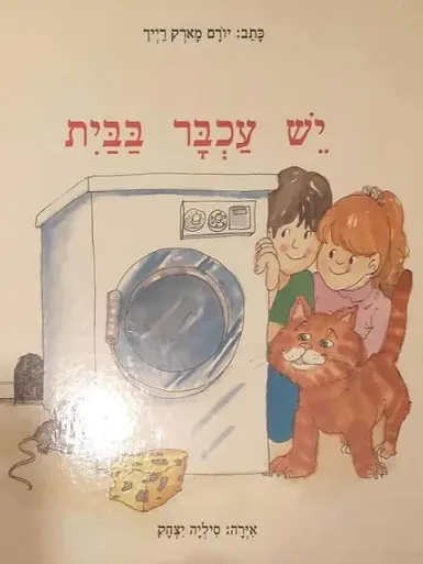 יש עכבר בבית