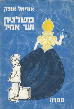 עטיפת הספר משלגיה ועד אמיל מאת אוריאל אופק