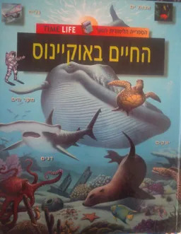 החיים באוקיינוס