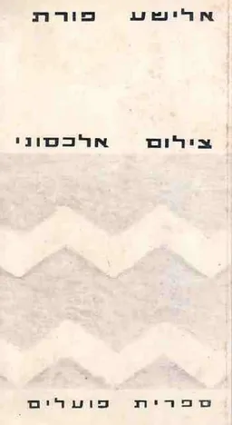צילום אלכסוני