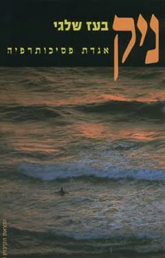 עטיפת הספר ניק מאת בעז שלגי