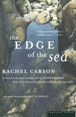 The edge of the sea