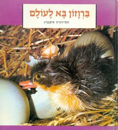 ברוזון בא לעולם