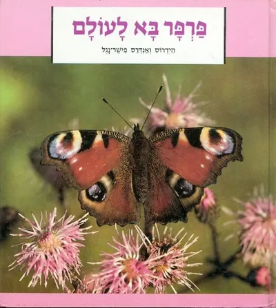 פרפר בא לעולם