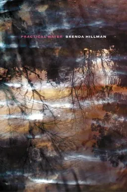 Practical Water (Wesleyan Poetry)