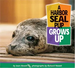 A Harbor Seal Pup Grows Up (Baby Animals)