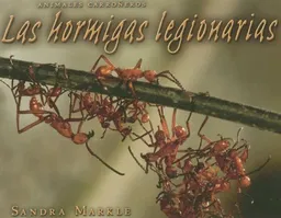 עטיפת הספר Las Hormigas Legionarias/Army Ants (Animales Carroneros/Animal Scavengers) (Spanish Edition) מאת Sandra Markle