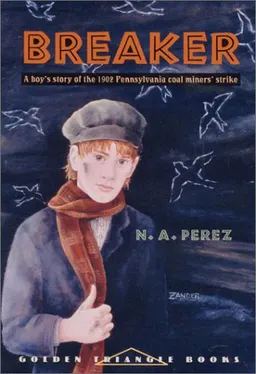 Breaker (Pitt Golden Triangle Books)