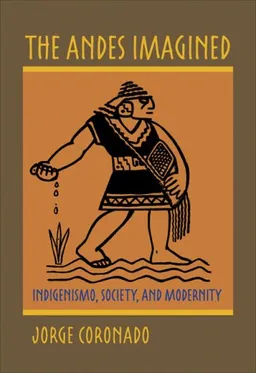The Andes Imagined: Indigenismo, Society, and Modernity (Pitt Illuminations)