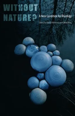 עטיפת הספר Without Nature?: A New Condition for Theology מאת Cabell King