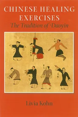 Chinese Healing Exercises: The Tradition of Daoyin (Latitude 20 Books)