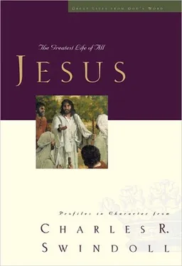 Jesus: The Greatest Life of All (Great Lives Series)