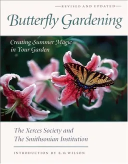 Butterfly Gardening: Creating Summer Magic in Your Garden