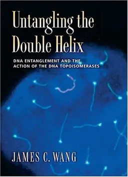Untangling the Double Helix: DNA Entanglement and the Action of the DNA Topoisomerases