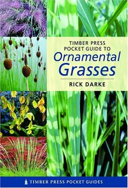 עטיפת הספר Pocket Guide to Ornamental Grasses (Timber Press Pocket Guides) מאת Rick Darke