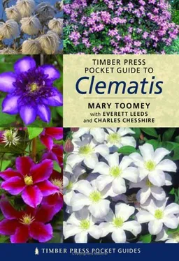 עטיפת הספר Timber Press Pocket Guide to Clematis (Timber Press Pocket Guides) מאת Mary K. Toomey
