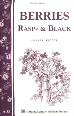 עטיפת הספר Berries, Rasp- & Black מאת Louise Riotte