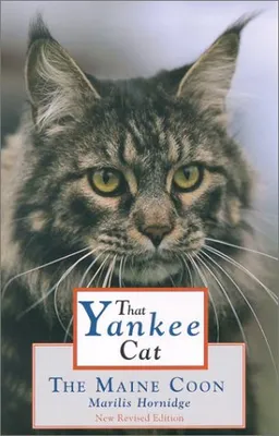 That Yankee Cat: The Maine Coon