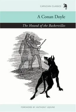 The Hound of the Baskervilles (Capuchin Classics)