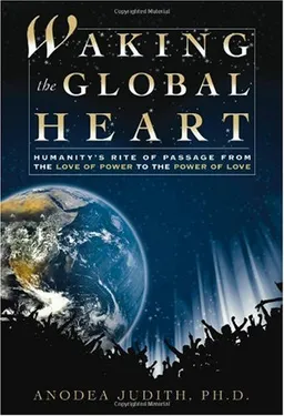 Waking the Global Heart: Humanity's Rite of Passage from the Love of Power to the Power of Love