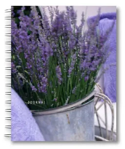 עטיפת הספר Paradise Found Wire-O Bound Journal (Potter Style) מאת Rebecca Cole