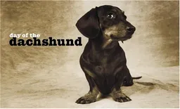 Day of the Dachshund Note Cards (Potter Style)