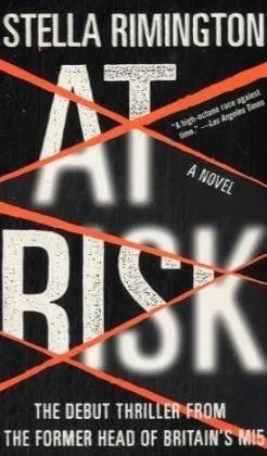 At Risk: A Novel