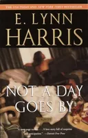 Not a Day Goes By: A Novel