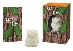 עטיפת הספר Wise Owl: The Ancient Symbol of Wisdom מאת Ross Berger