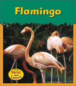 Flamingo (Zoo Animals)