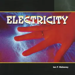 Electricity (Energy in Action (Powerkids Press).)