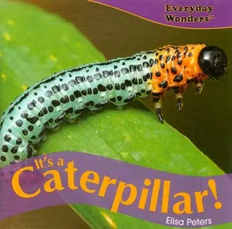 Its a Caterpillar! (Everyday Wonders)