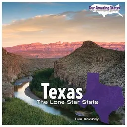 Texas (Our Amazing States)