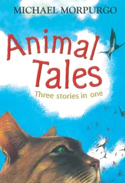 עטיפת הספר Animal Tales: Three Stories in One מאת Michael Morpurgo