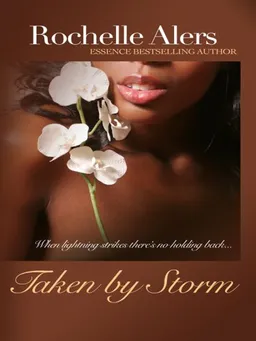 Taken by Storm (Thorndike Press Large Print African American Series)