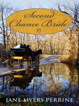 Second Chance Bride (Thorndike Press Large Print Christian Fiction)