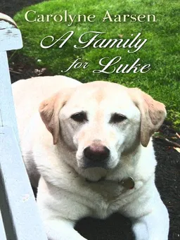 A Family for Luke (Thorndike Press Large Print Christian Romance Series)