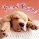 Pooped Puppies 2010 Mini Wall Calendar (Calendar)