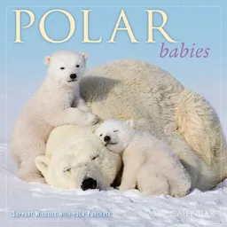Polar Babies 2010 Wall Calendar (Calendar)