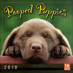 Pooped Puppies 2010 Wall Calendar (Calendar)