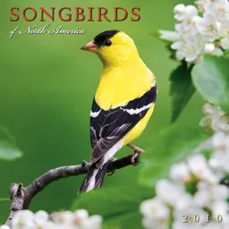 עטיפת הספר Songbirds of North America 2010 Wall Calendar (Calendar) מאת Sellers Publishing Inc