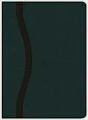 The Charles F. Stanley Life Principles Bible, NASB