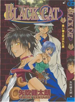 Black Cat, Vol. 1