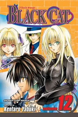 Black Cat, Volume 12 (Black Cat (Graphic Novels))