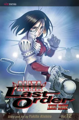 Battle Angel Alita: Last Order, Vol. 12 (Battle Angel Alita (Graphic Novels))