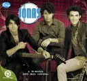 Jonas Brothers 2010 Mini Calendar