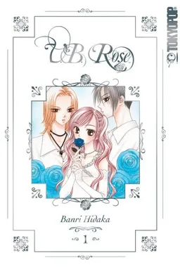 V.B. Rose Volume 1 (V. B. Rose) (v. 1)